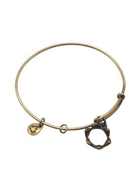 Alex And Ani Gold-Tone Rhinestone Crown Charm Bangle Bracelet Adjustable Jewelry